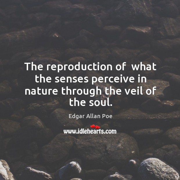 The reproduction of  what the senses perceive in nature through the veil of the soul. Image