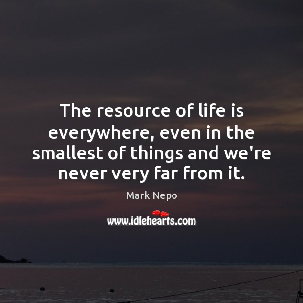 The resource of life is everywhere, even in the smallest of things Mark Nepo Picture Quote
