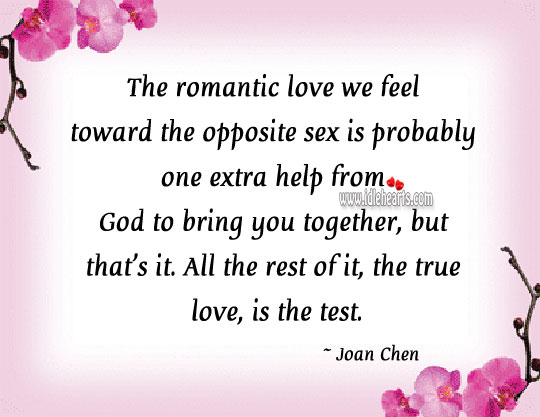 All the rest of it, the true love, is the test. Romantic Love Quotes Image