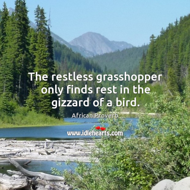 The restless grasshopper only finds rest in the gizzard of a bird. African Proverbs Image