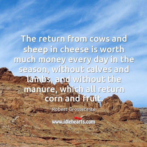 The return from cows and sheep in cheese is worth much money every day in the season Robert Grosseteste Picture Quote