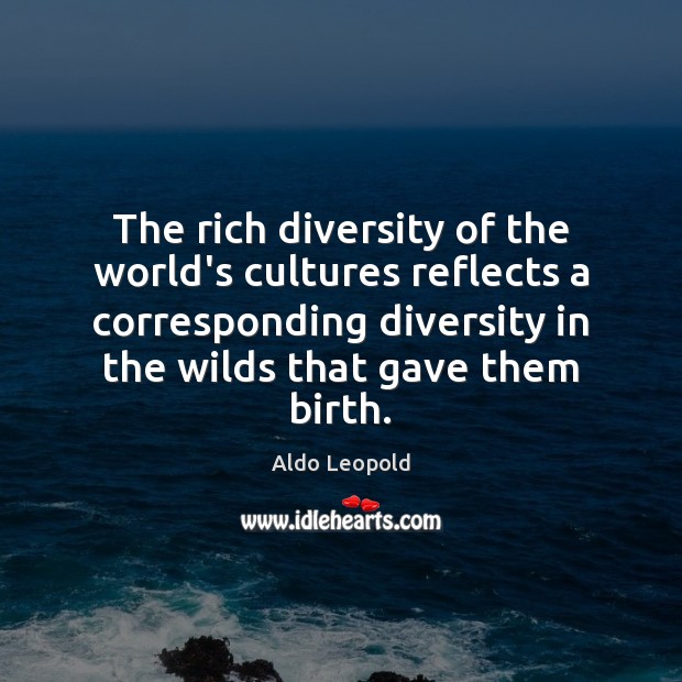 The rich diversity of the world’s cultures reflects a corresponding diversity in Aldo Leopold Picture Quote