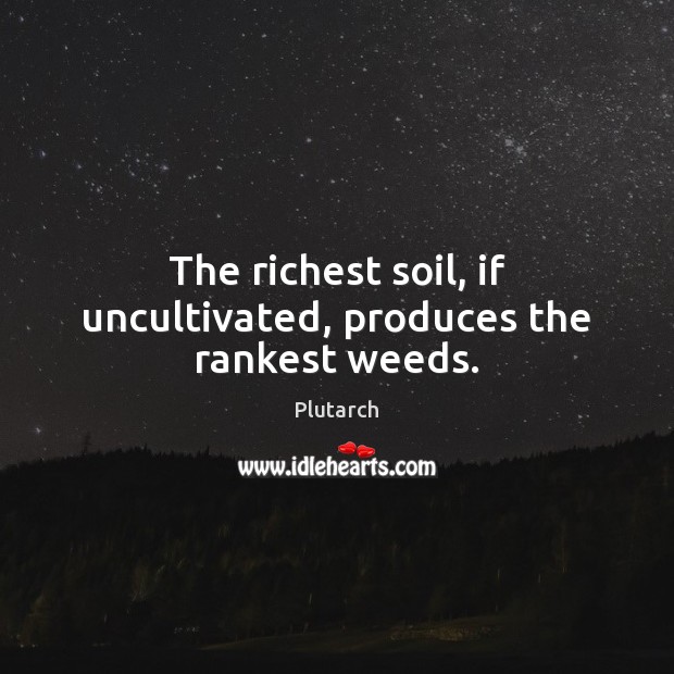 The richest soil, if uncultivated, produces the rankest weeds. Plutarch Picture Quote