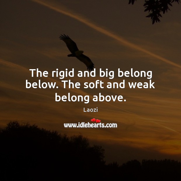 The rigid and big belong below. The soft and weak belong above. Laozi Picture Quote