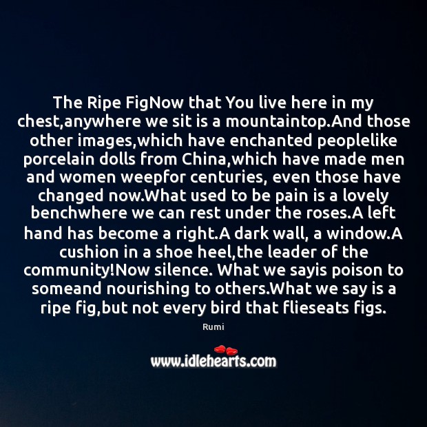 The Ripe FigNow that You live here in my chest,anywhere we Image