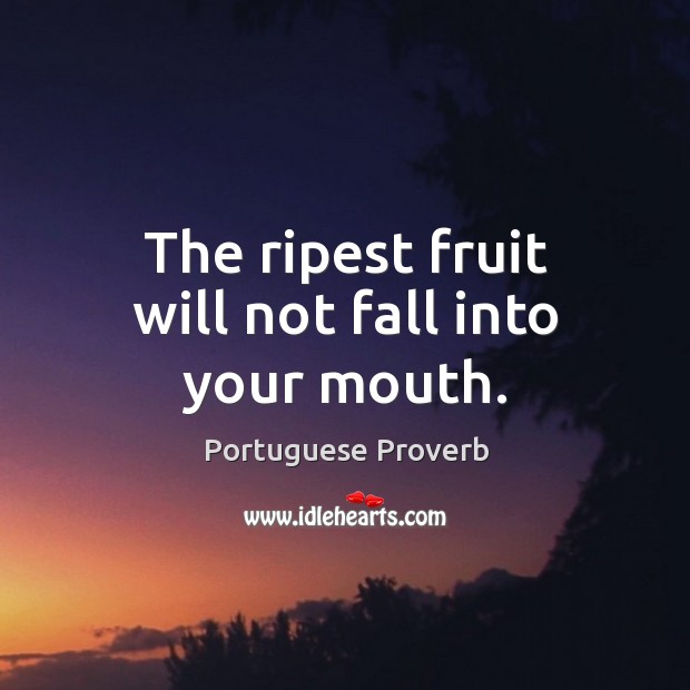 The ripest fruit will not fall into your mouth. Image