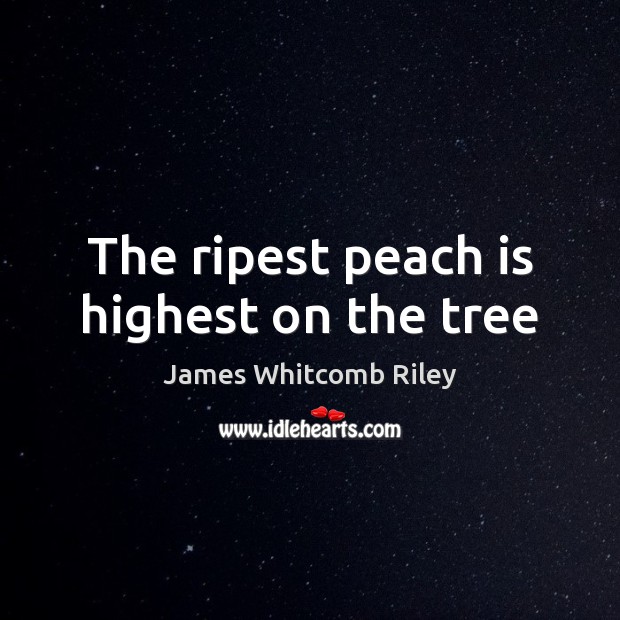 The ripest peach is highest on the tree James Whitcomb Riley Picture Quote