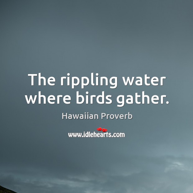 The rippling water where birds gather. Hawaiian Proverbs Image