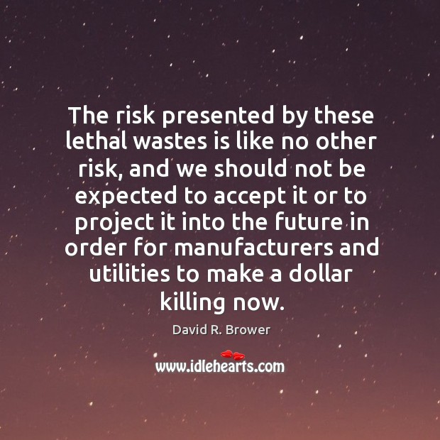 The risk presented by these lethal wastes is like no other risk David R. Brower Picture Quote