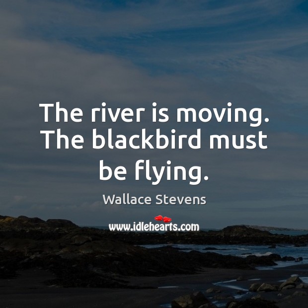 The river is moving. The blackbird must be flying. Image