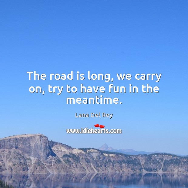 The road is long, we carry on, try to have fun in the meantime. Lana Del Rey Picture Quote