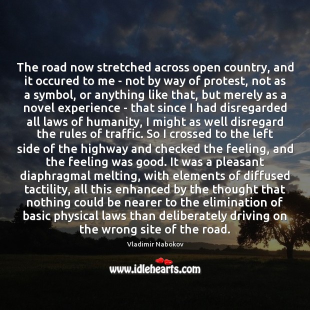 The road now stretched across open country, and it occured to me Vladimir Nabokov Picture Quote