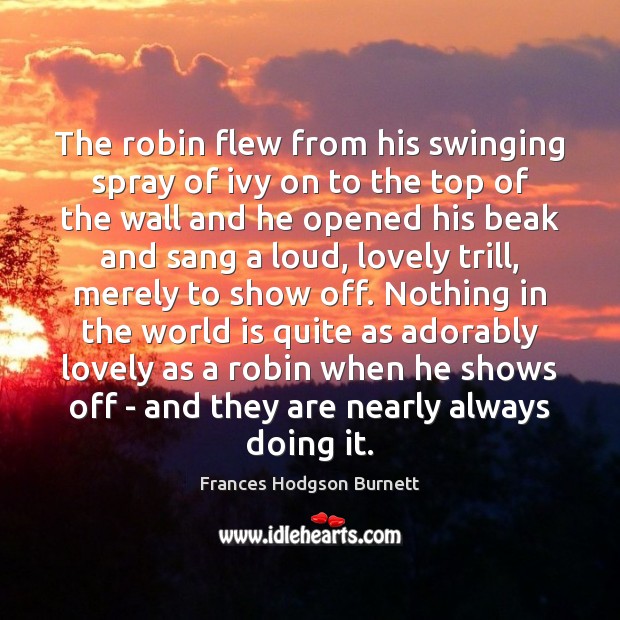 The robin flew from his swinging spray of ivy on to the Frances Hodgson Burnett Picture Quote
