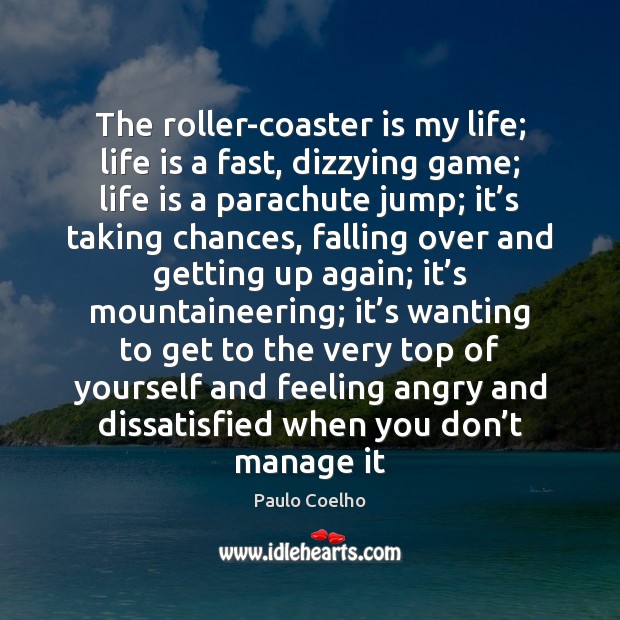 The roller-coaster is my life; life is a fast, dizzying game; life 
