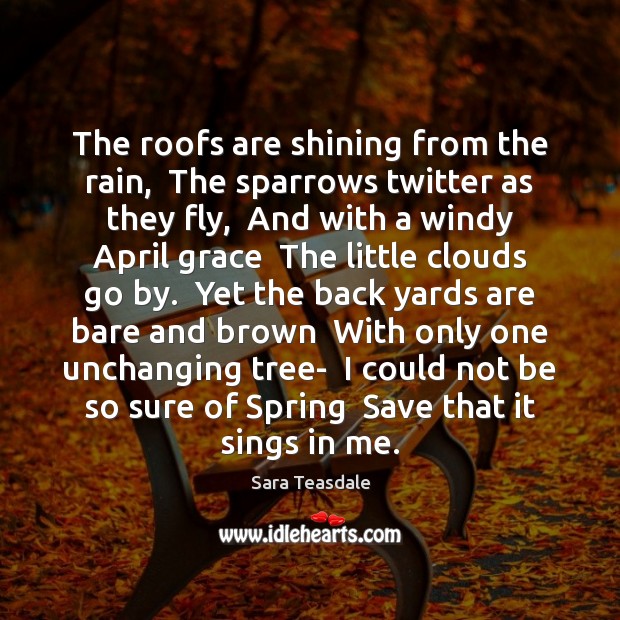 The roofs are shining from the rain,  The sparrows twitter as they Sara Teasdale Picture Quote