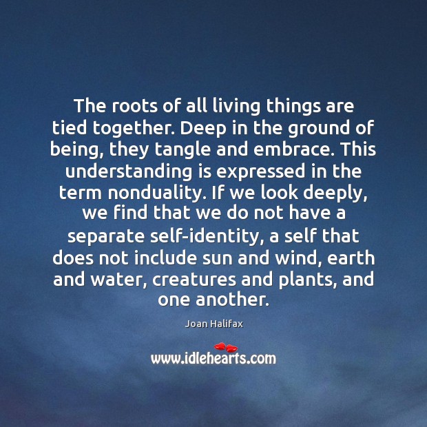 The roots of all living things are tied together. Deep in the Joan Halifax Picture Quote