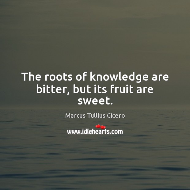 The roots of knowledge are bitter, but its fruit are sweet. Marcus Tullius Cicero Picture Quote