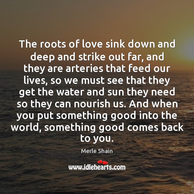 The roots of love sink down and deep and strike out far, Merle Shain Picture Quote