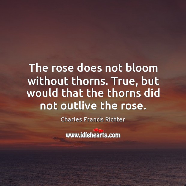 The rose does not bloom without thorns. True, but would that the Charles Francis Richter Picture Quote
