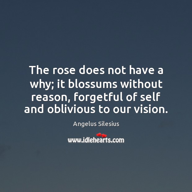 The rose does not have a why; it blossums without reason, forgetful Angelus Silesius Picture Quote