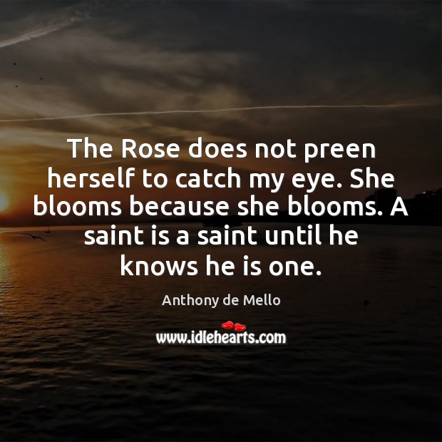 The Rose does not preen herself to catch my eye. She blooms Image