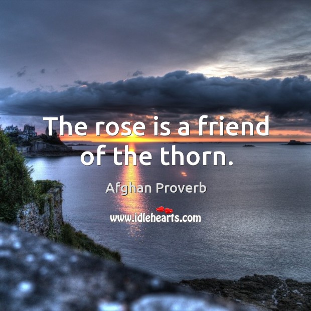 The rose is a friend of the thorn. Image