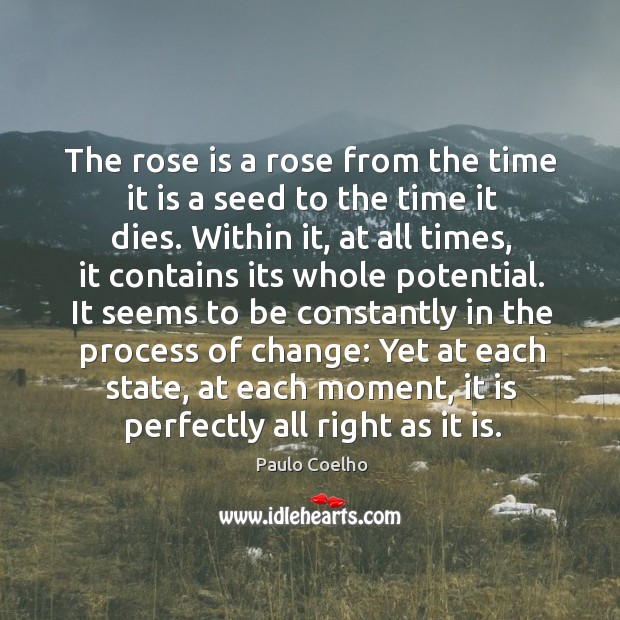 The rose is a rose from the time it is a seed Paulo Coelho Picture Quote
