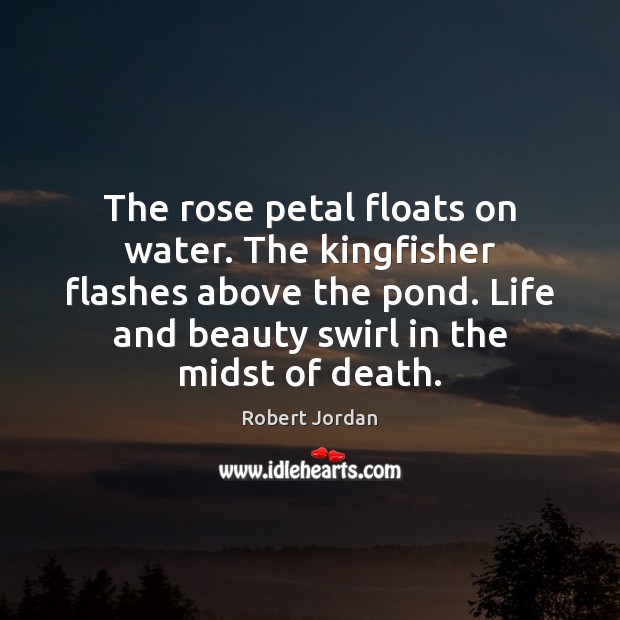 The rose petal floats on water. The kingfisher flashes above the pond. Image