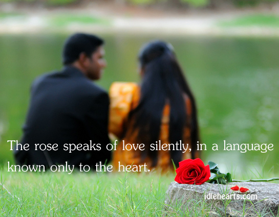 The rose speaks of love silently, in a language known only Image