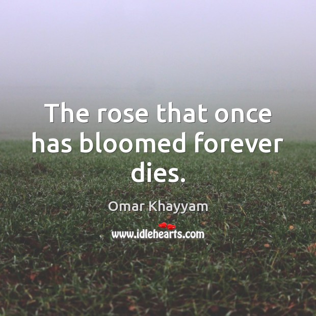 The rose that once has bloomed forever dies. Omar Khayyam Picture Quote