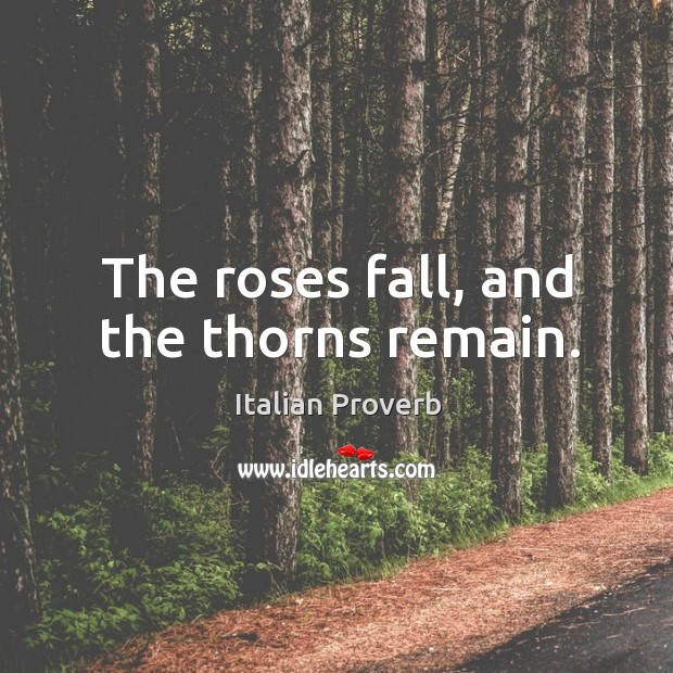 The roses fall, and the thorns remain. Italian Proverbs Image