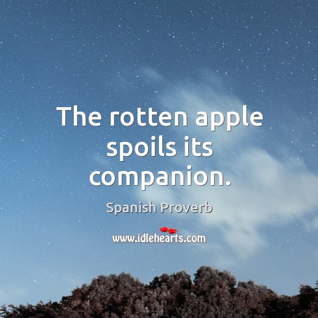 The rotten apple spoils its companion. Spanish Proverbs Image