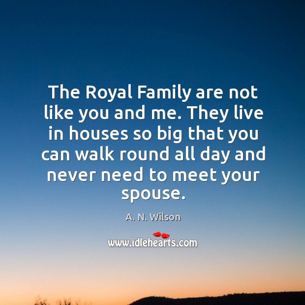 The royal family are not like you and me. A. N. Wilson Picture Quote