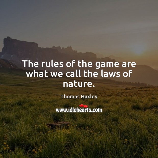 The rules of the game are what we call the laws of nature. Image