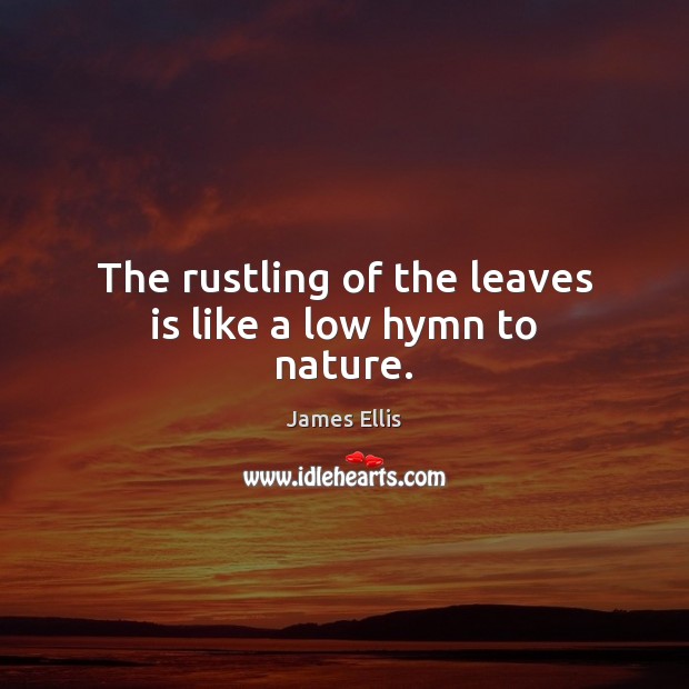 The rustling of the leaves is like a low hymn to nature. James Ellis Picture Quote