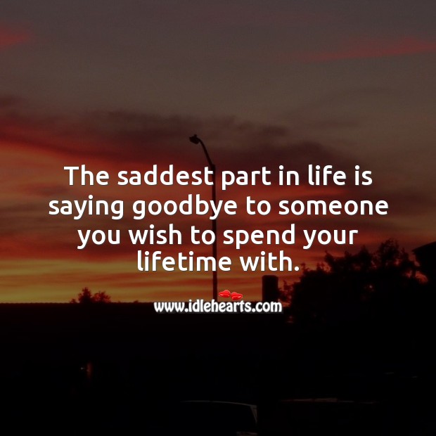The saddest part in life is saying goodbye to someone you wish to spend your lifetime with. 