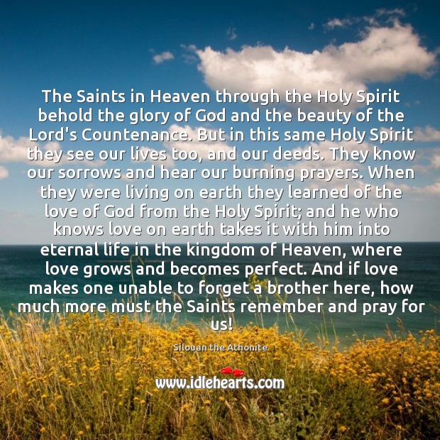 The Saints in Heaven through the Holy Spirit behold the glory of Silouan the Athonite Picture Quote