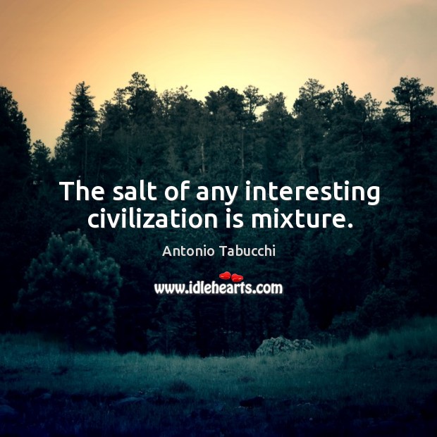 The salt of any interesting civilization is mixture. Antonio Tabucchi Picture Quote