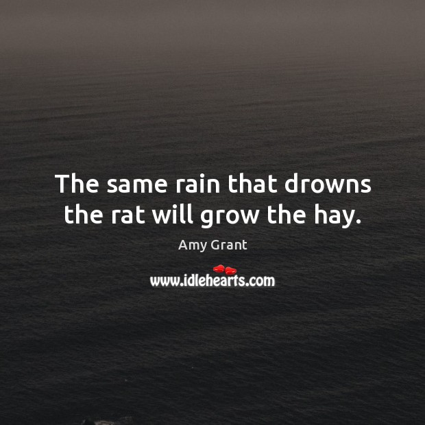 The same rain that drowns the rat will grow the hay. Amy Grant Picture Quote