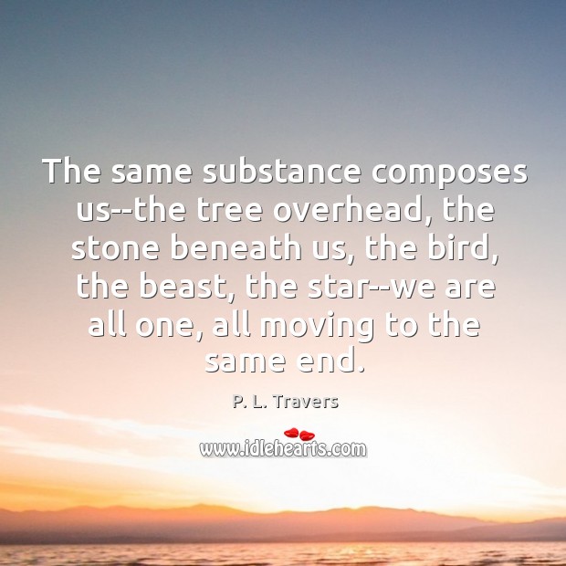 The same substance composes us–the tree overhead, the stone beneath us, the P. L. Travers Picture Quote
