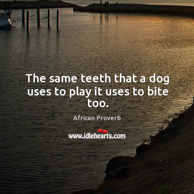 The same teeth that a dog uses to play it uses to bite too. Image