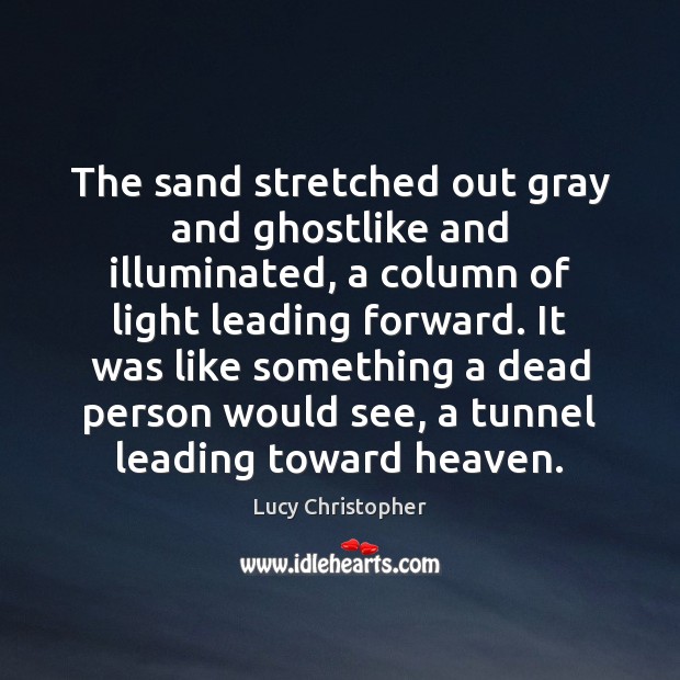 The sand stretched out gray and ghostlike and illuminated, a column of Image