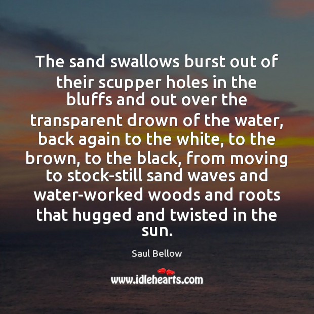 The sand swallows burst out of their scupper holes in the bluffs Saul Bellow Picture Quote