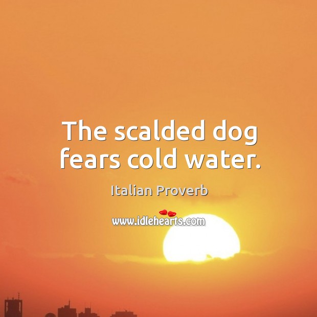 The scalded dog fears cold water. Italian Proverbs Image