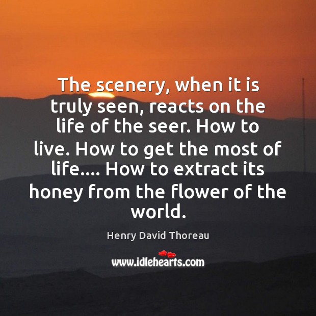 The scenery, when it is truly seen, reacts on the life of Henry David Thoreau Picture Quote