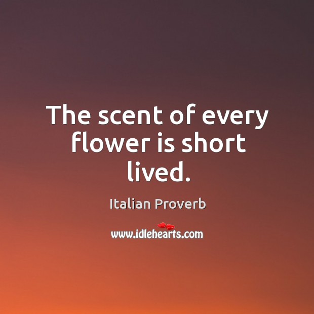 The scent of every flower is short lived. Image
