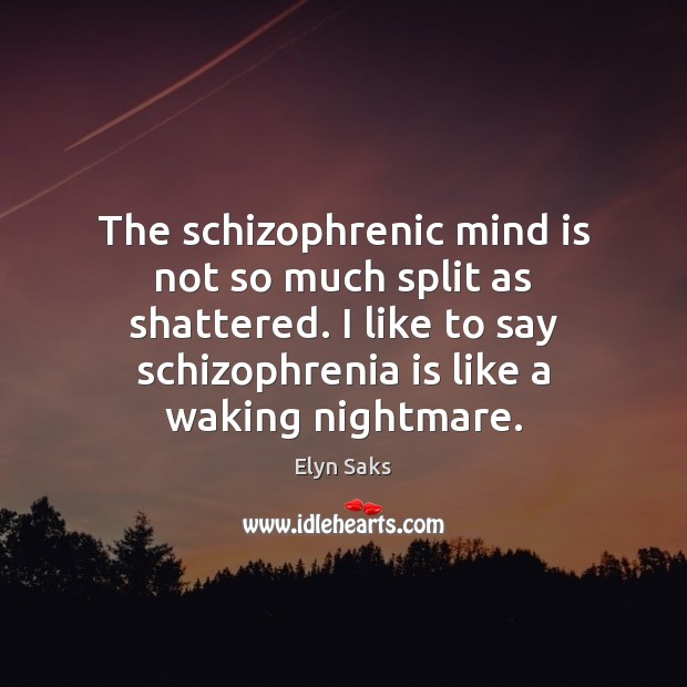 The schizophrenic mind is not so much split as shattered. I like Elyn Saks Picture Quote