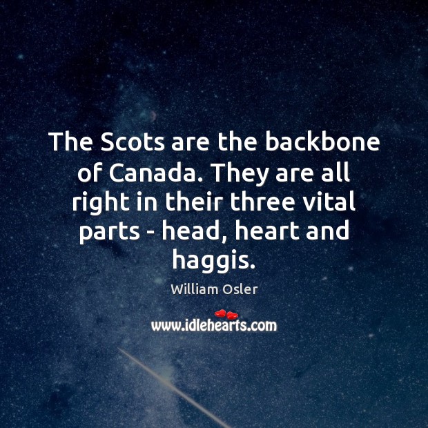 The Scots are the backbone of Canada. They are all right in William Osler Picture Quote