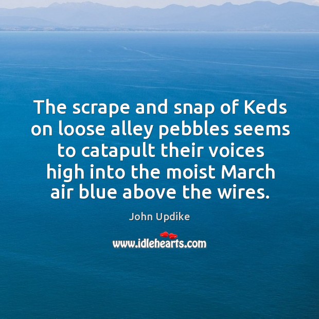 The scrape and snap of Keds on loose alley pebbles seems to John Updike Picture Quote