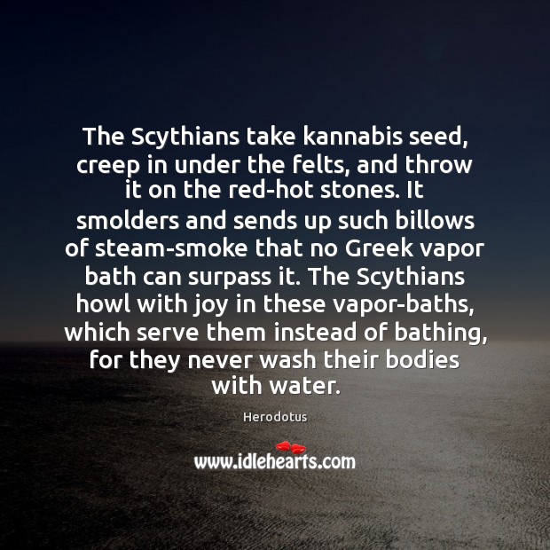 The Scythians take kannabis seed, creep in under the felts, and throw 